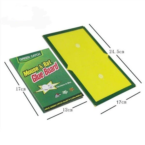 ماؤس گلو بک